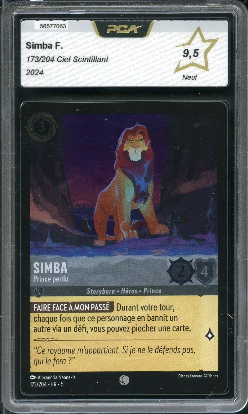PCA 9.5 Simba Prince Perdu