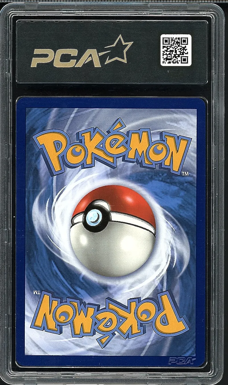 PCA 9.5 Shifours Mille Poings VMax