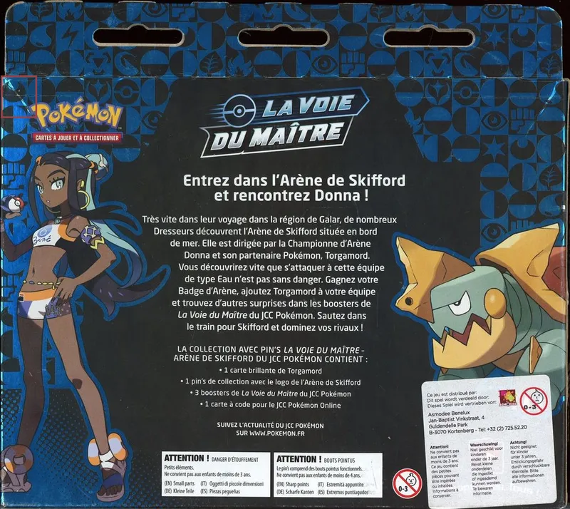 Coffret La Voie du Maître Arène de Skifford