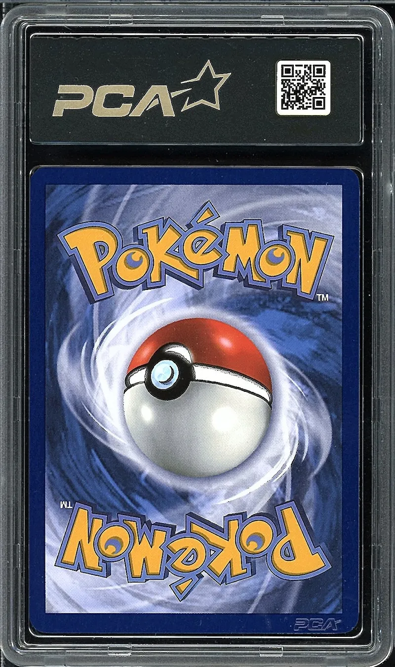 PCA 9.5 Aéroptéryx