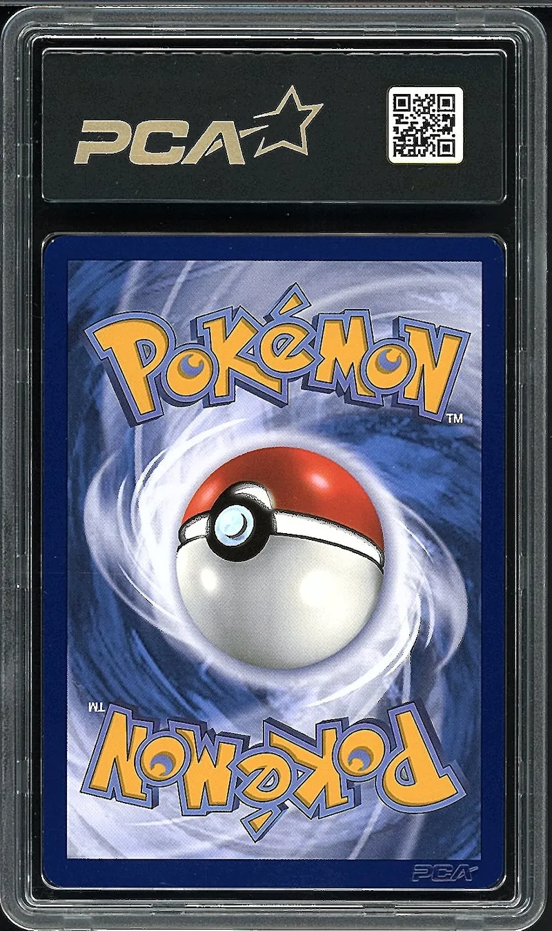 PCA 9.5 Zoroark Ex de N