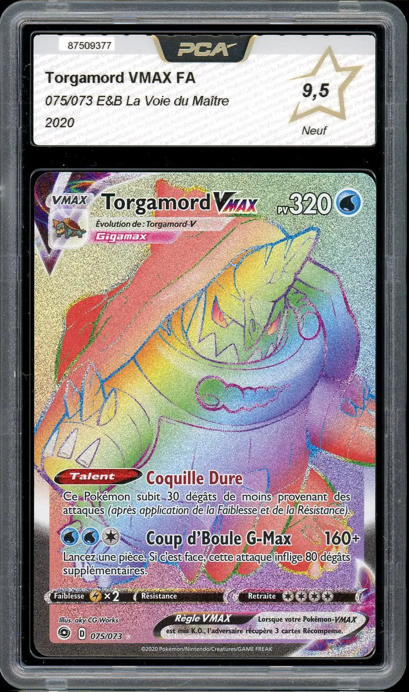 PCA 9.5 Torgamord VMax Rainbow