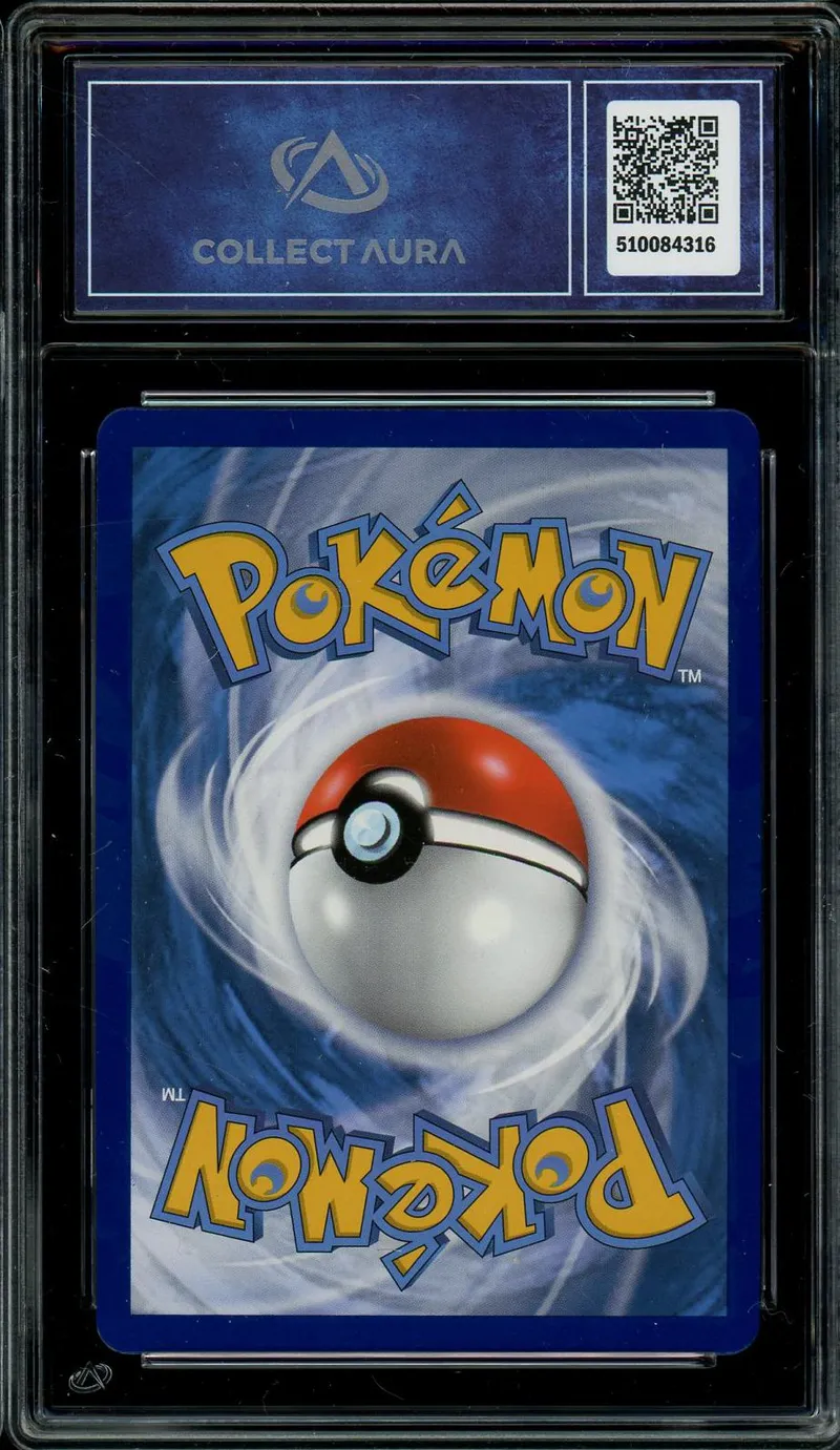 CA 10 Raichu V