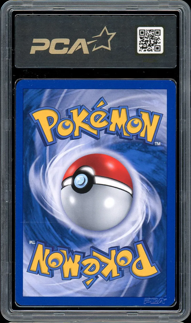 PCA 8 Energie Multicolore Reverse