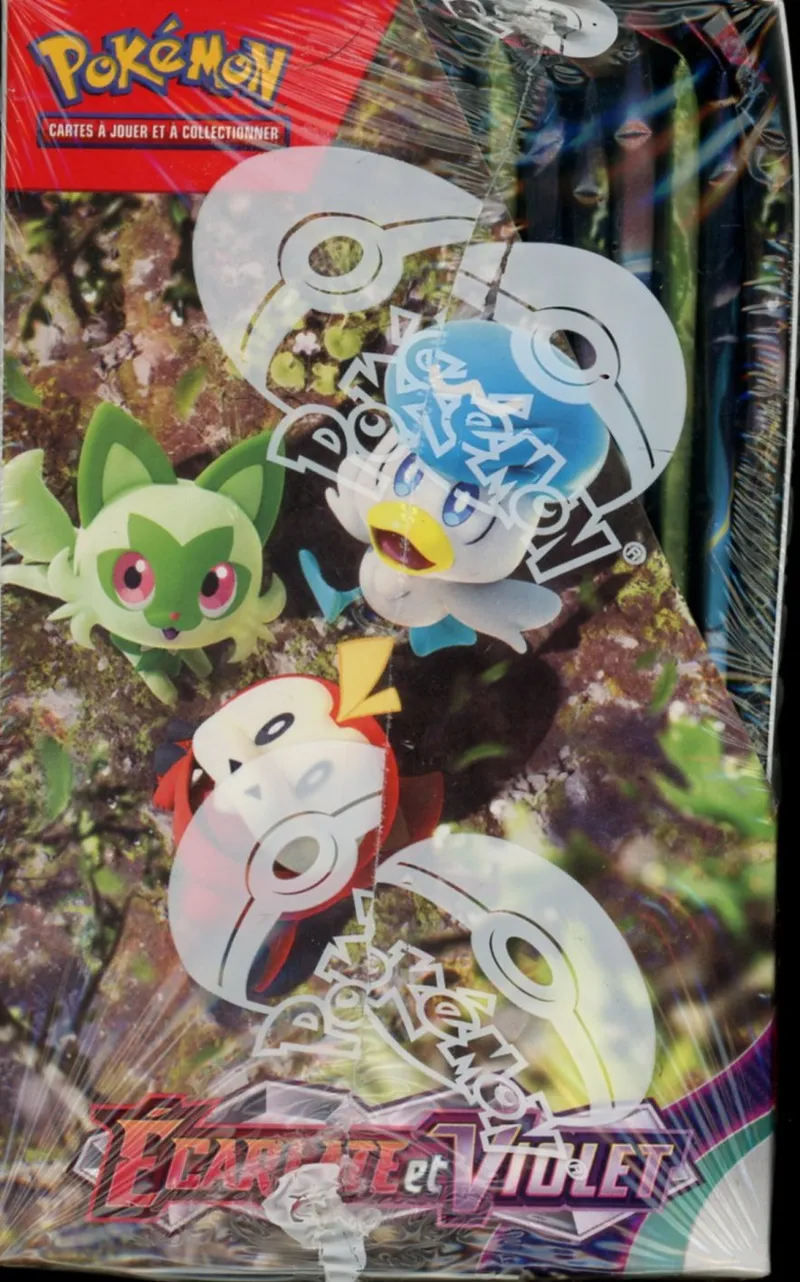 Display EV1 Ecarlate & Violet