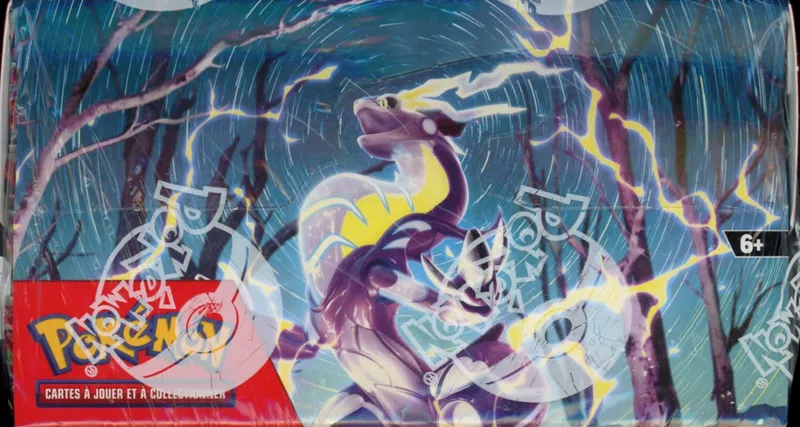 Display EV1 Ecarlate & Violet