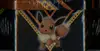 Pokébox Evoli V thumbnail 4