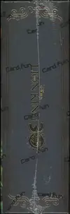 Display Le Roi Lion 30 ans thumbnail 3