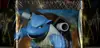 Pokébox Dracaufeu Ex thumbnail 3