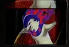 Pokebox Typhlosion V thumbnail 5