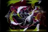 Pokébox ME5 Nuit Noire thumbnail 6