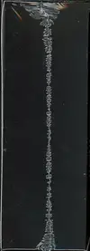 Medium Box Life TCG Mammals Special Edition thumbnail 4