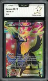 PCA 9 Xerneas Ex - Image 1