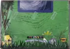 Display de Decks Jungle - Image 1