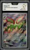 PCA 9 Libegon thumbnail 1