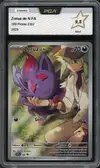 PCA 9.5 Zorua de N - Image 1