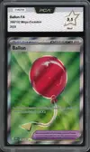 PCA 9.5 Ballon - Image 1