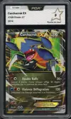PCA 9 Carchacrok Ex thumbnail 1