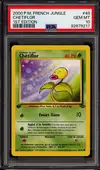 PSA 10 Chétiflor thumbnail 1