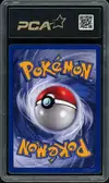 PCA 8 Eleveur de Pokémon thumbnail 2