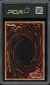 PCA 9.5 Dragon Arc-En-Ciel - Image 2