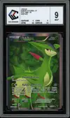 CCC 9 Viridium - Image 1
