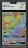 PCA 9.5 Jungko Gx Rainbow thumbnail 1