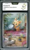 PCA 9.5 Ponchiot thumbnail 1