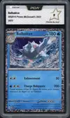 PCA 9 Balbalèze thumbnail 1