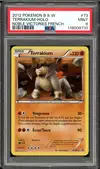 PSA 9 Terrakium Holo - Image 1
