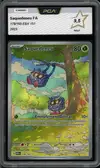 PCA 9.5 Saquedeneu thumbnail 1