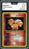 PCA 9 Goupix Reverse thumbnail 1