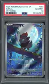 PSA 10 Zorua thumbnail 1