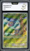 PCA 9.5 Saquedeneu thumbnail 1
