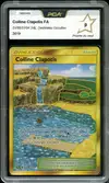 PCA 9 Colline Clapotis Gold thumbnail 1