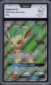 PCA 9.5 Phyllali Gx thumbnail 1