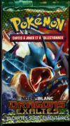 Booster Noir & Blanc Dragons Exaltés thumbnail 1