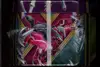 Pokébox XY Xerneas Ex thumbnail 5