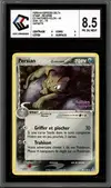 CCC 8.5 Persian Reverse thumbnail 1