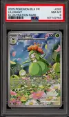 PSA 8 Fragilady thumbnail 1