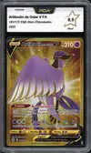 PCA 9.5 Artikodin de Galar V Gold thumbnail 1