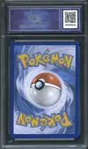 CA 9.5 Zorua de N thumbnail 2