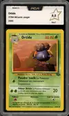 PCA 9.5 Ortide - Image 1