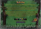 Display de Decks Jungle - Image 2