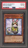 PSA 6 Rescue Rabbit thumbnail 1