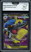PCA 9.5 Méga-Sharpedo Ex - Image 1