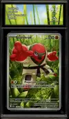 CA 9.5 Judokrak thumbnail 1