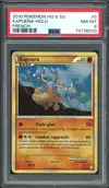 PSA 8 Kapoera Holo - Image 1