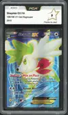 PCA 9 Shaymin Ex - Image 1