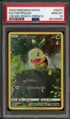 PSA 10 Tortipouss thumbnail 1